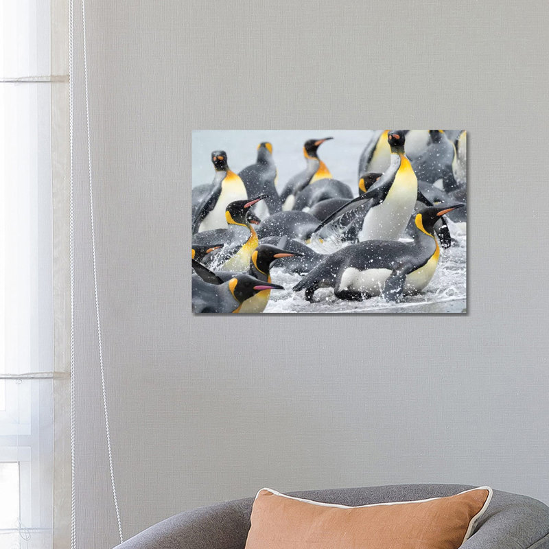 King Penguin Rookery On Salisbury Plain In The Bay Of Isles. South Georgia Island by Martin Zwick - Wrapped Canvas Print