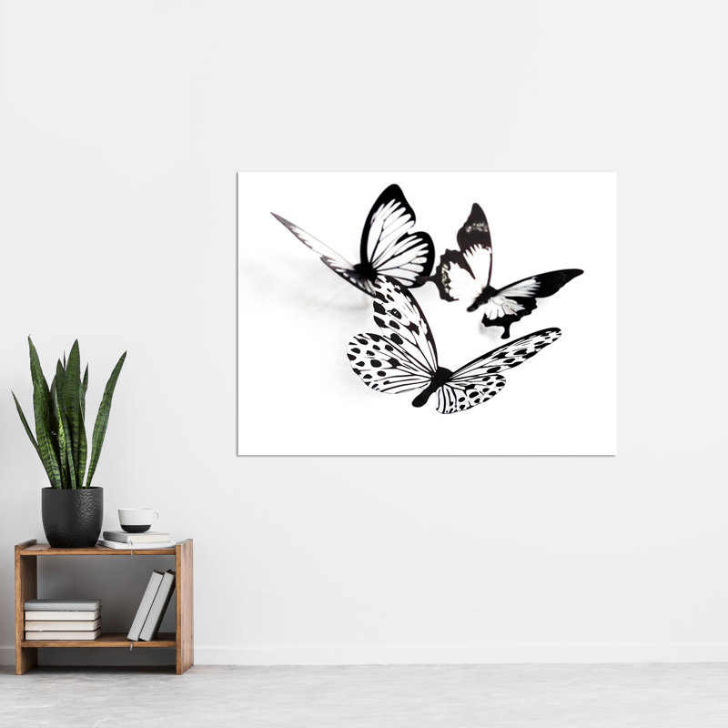 Three Black White Butterflies Group Collage Photo - No Frame Print
