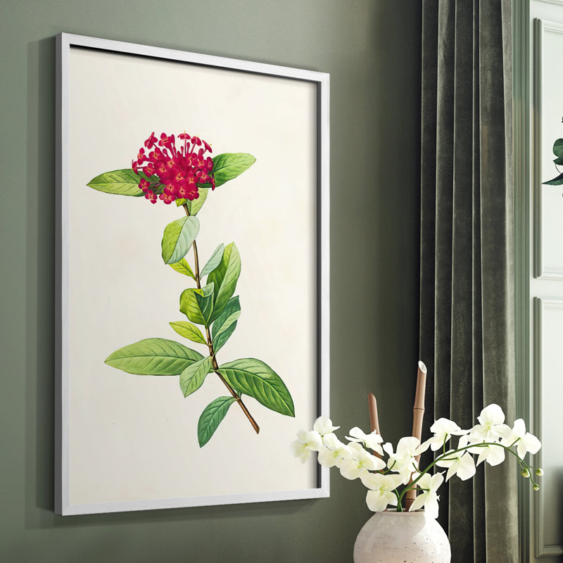 «Pretty Pink Botanicals II», reproduction encadrée - bois massif, Blanc, H 28 po x l 22 po