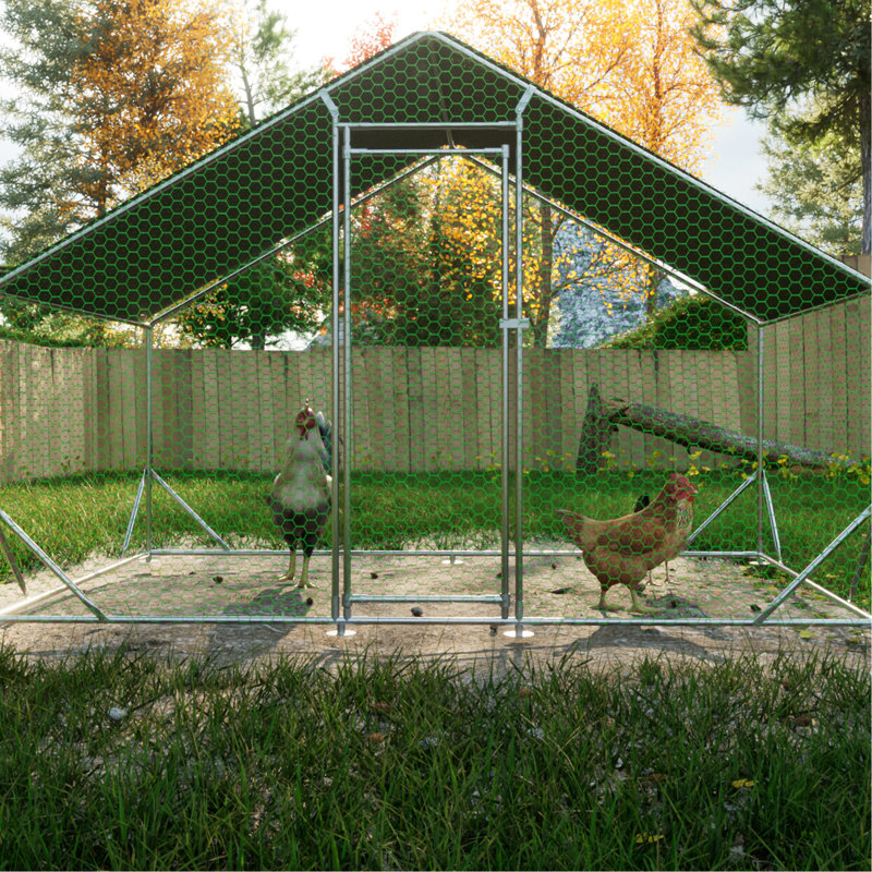 Cage à poules en métal - Walk-in avec grillage galvanisé imperméable et couvercle pour poulets, canards (poulets de 10 pi x l 6,6 pi x P 6,56 pi)