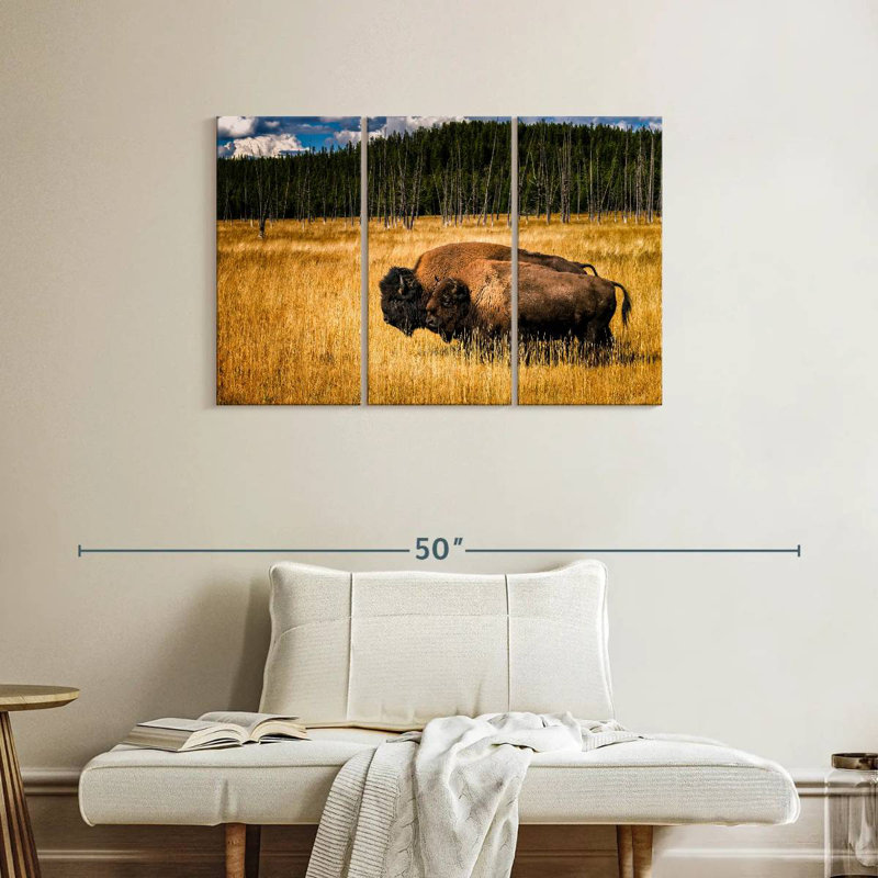 Brampt Bison In Summer, 24" H x 38" W