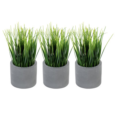 3 - Piece Artificial Onion Grass in Cement Pot Set