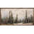 Pine Forest-1499446339