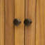 Armoire en bois d'acacia Kedzie