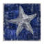  «Rustic Indigo Starfish» par Paul Brent-749794651
