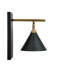 Summerdale Iron Armed Sconce