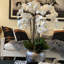 White Orchids In Artisanal Silver Pot