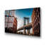 Boze Wall Decor