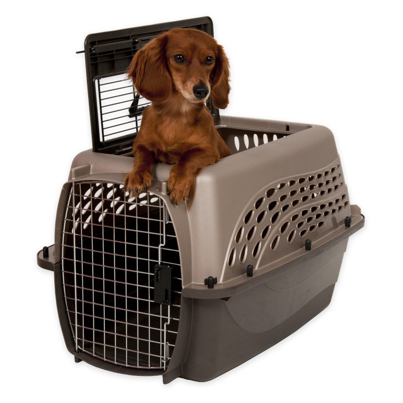 Porte-animal de mode métallique, Moyen (H 14,5 po x l 16,7 po x P 24,1 po), Brun clair nacré / café