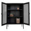 Jamariea Display Cabinet