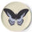 Metamorphosis Round 4 Piece Coaster Set