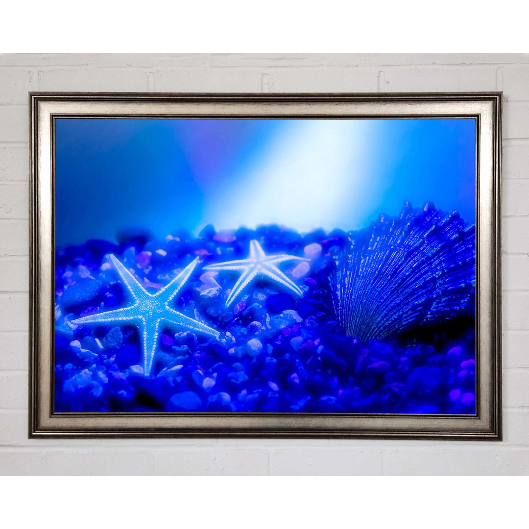 Gerahmtes Leinwandbild Stunning Blue Starfish