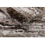 Tapis à poils longs Harbin-128514796