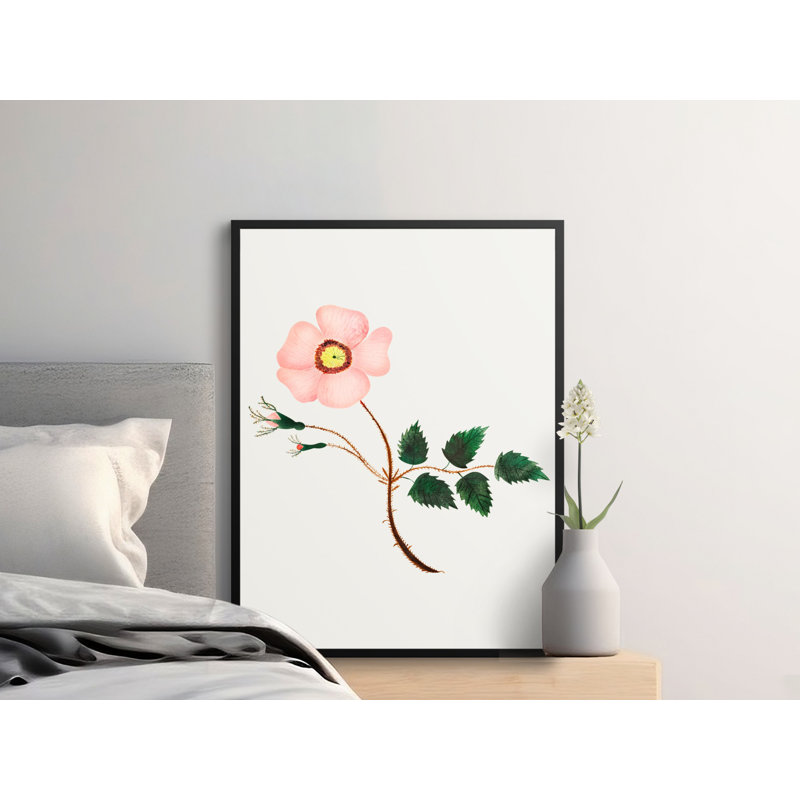 Kane No Frame Print, 24x32