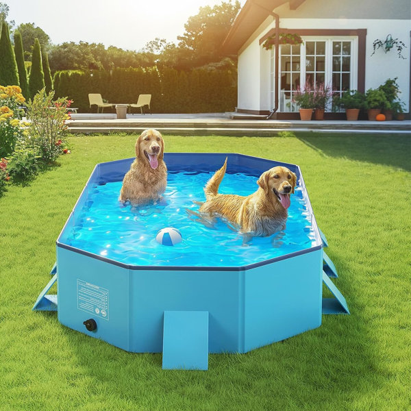 Foldable Dog Bath Swimming Pool Plastic Kiddie Pool Professional
