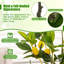 Faux citronnier 32 '' en pot-203583234