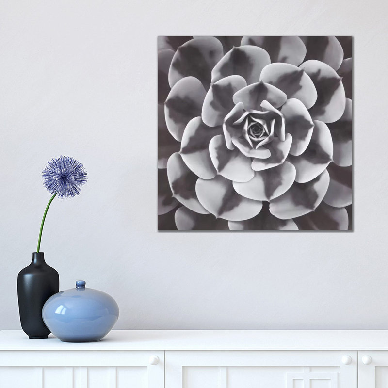 Natural Design III by Assaf Frank - Wrapped Canvas Print, 45.72 cm H x 45.72 cm W x 3.175 cm D