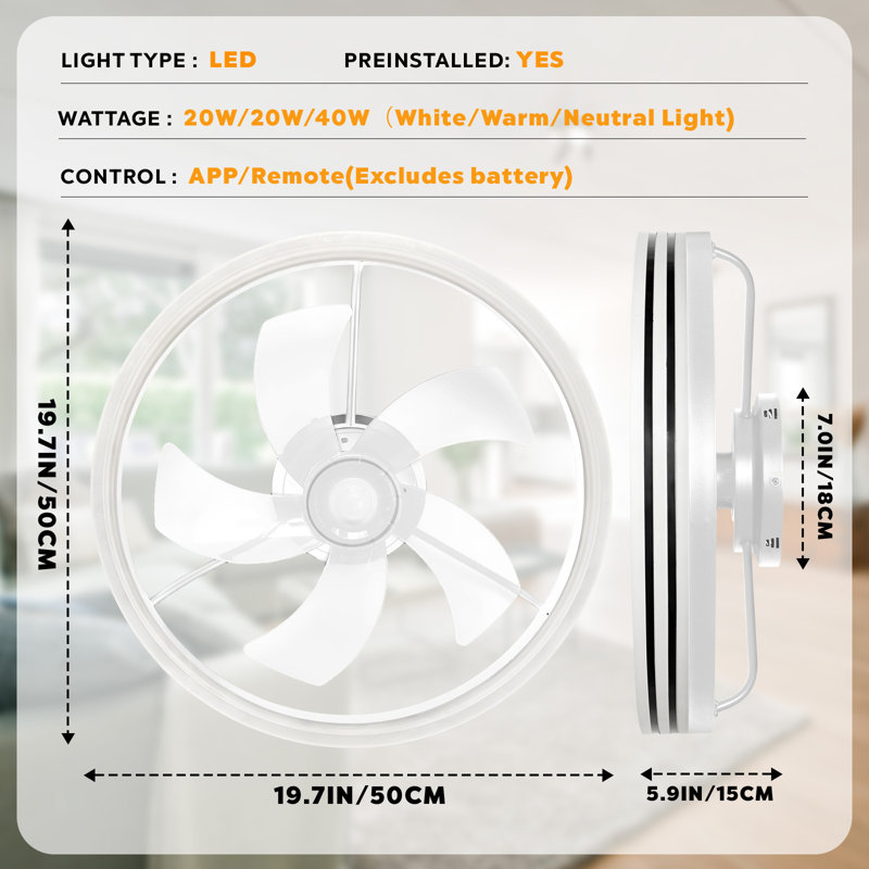 Andia Caged Ceiling Fan with LED Lights, Low Profile Ceiling Fan for Living Room, White, White, Clear