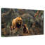 Ours bruns et petits-107679777