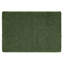 Forest Green Shaggy -174063873