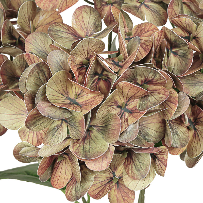 Bouquet de tiges de fleurs d'hortensia artificielle Natural Touch, Café poussiéreux