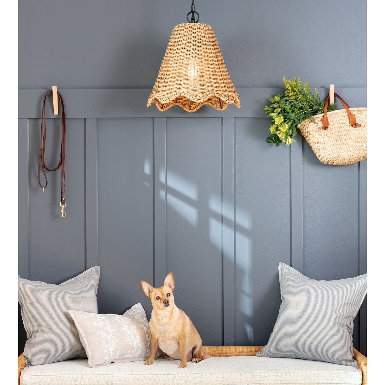Coastal Luxe Outdoor Pendant Light, 22.75" H x 16" W x 16" D