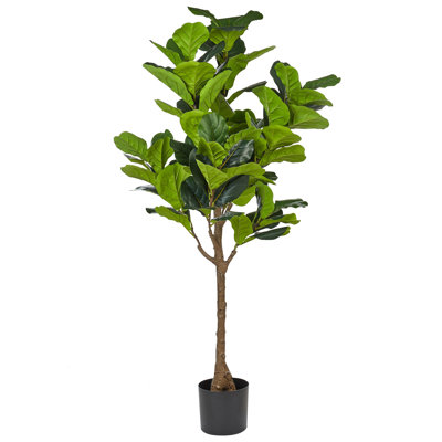 162cm Faux Fiddle Leaf Fig Tree in Planter