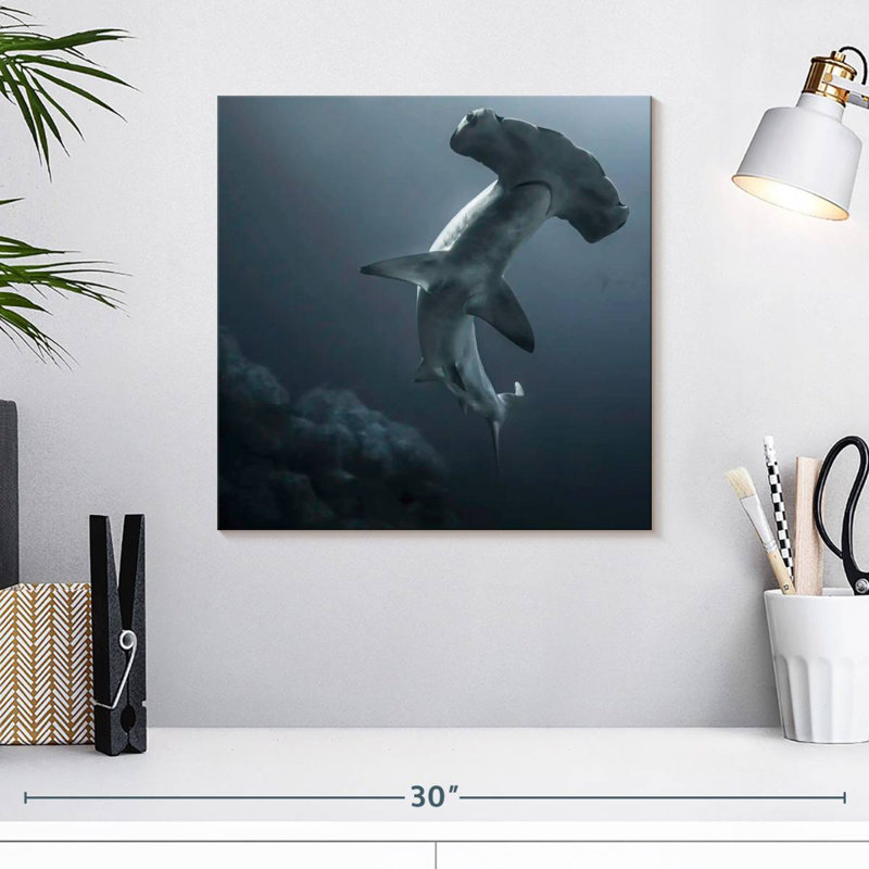 Requin-marteau Brampt