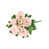 Cream Pink est en rupture de stock