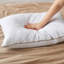 Oreiller luxueux en plumes d'oie - Housse 100% polyester hypoallergénique et rembourrage de qualité supérieure pour un sommeil réparateur-977961077
