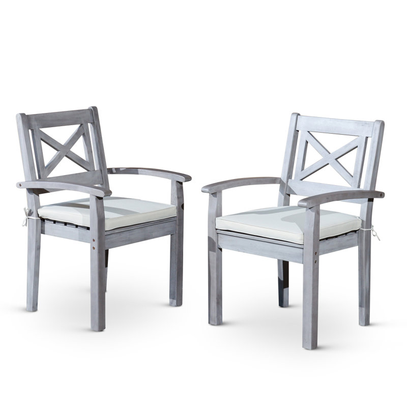 Dining Chairs Set Of 2
