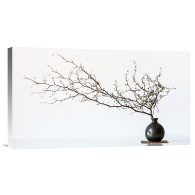 " Vase And Branch " by Prbimages