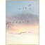 Sunset Flock 2 Print by Lillian August