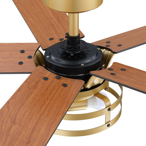 Trent Austin Design® Rish 52'' Ceiling Fan with Light Kit & Reviews ...
