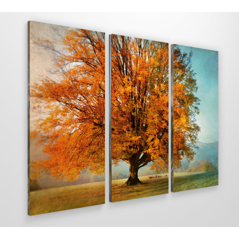 «Autumns Passion», image multi-pièces sur toile tendue, H 32 po x l 48 po x P 1,5 po