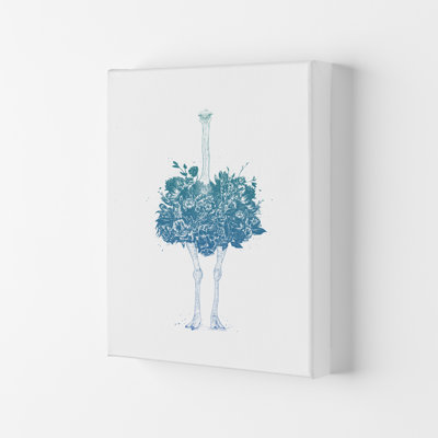 Floral Ostrich by Mercedes Lopes Charro - Print