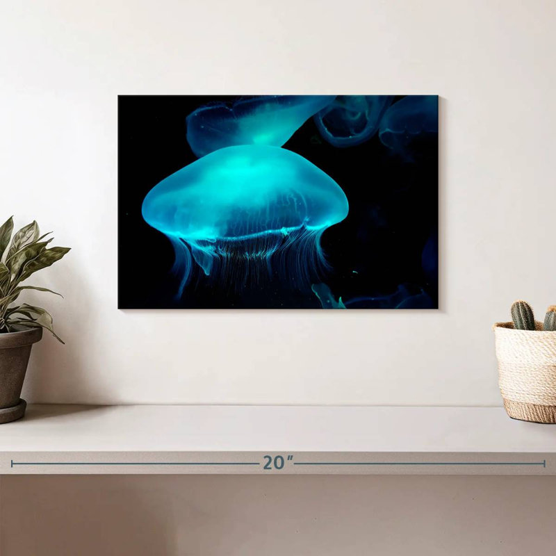 Moon Jellyfish, 8" H x 12" W