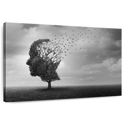 Alcaraz Alzheimer
