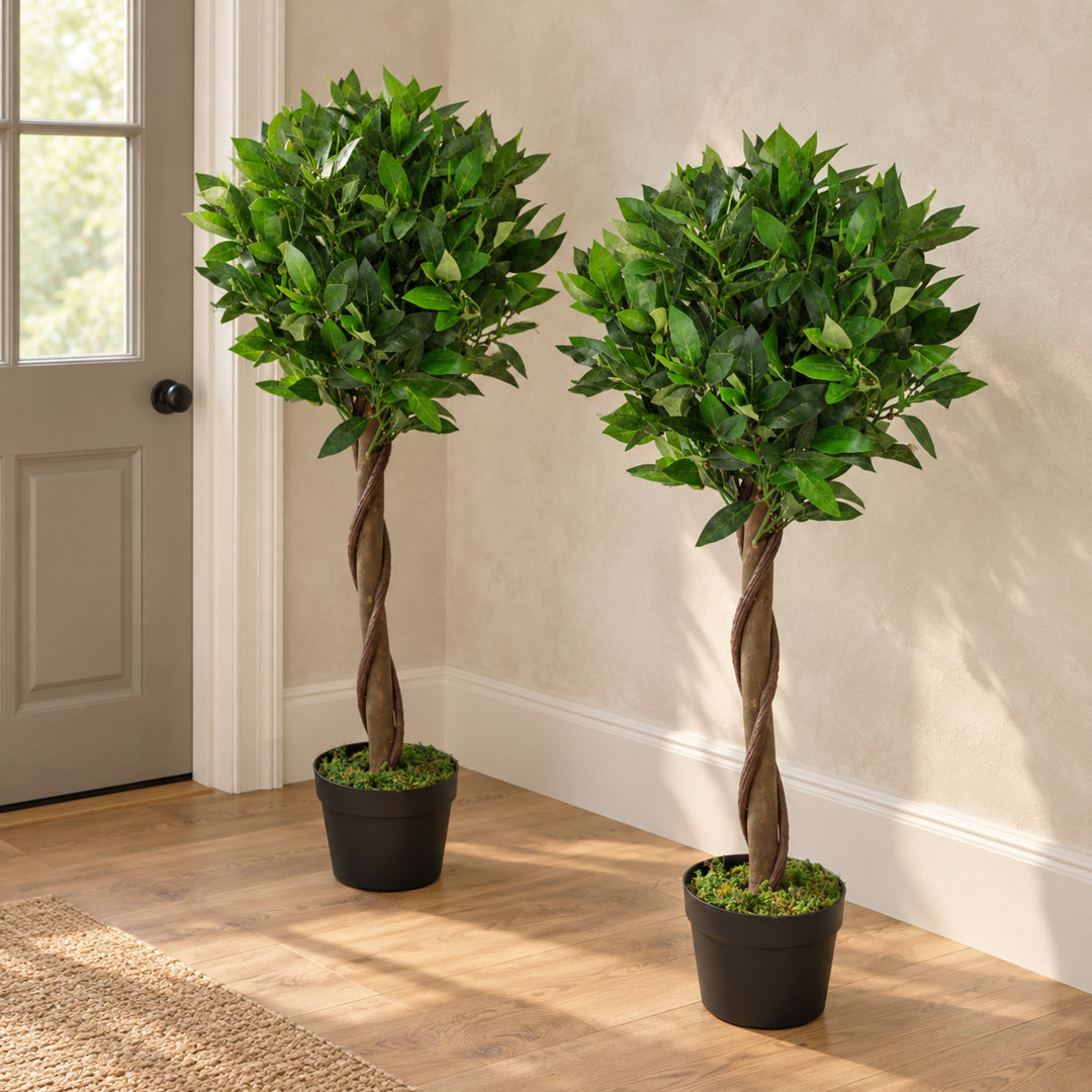 Wayfair UK