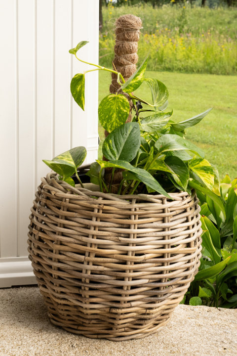 Style Your Plants with Boho Charm