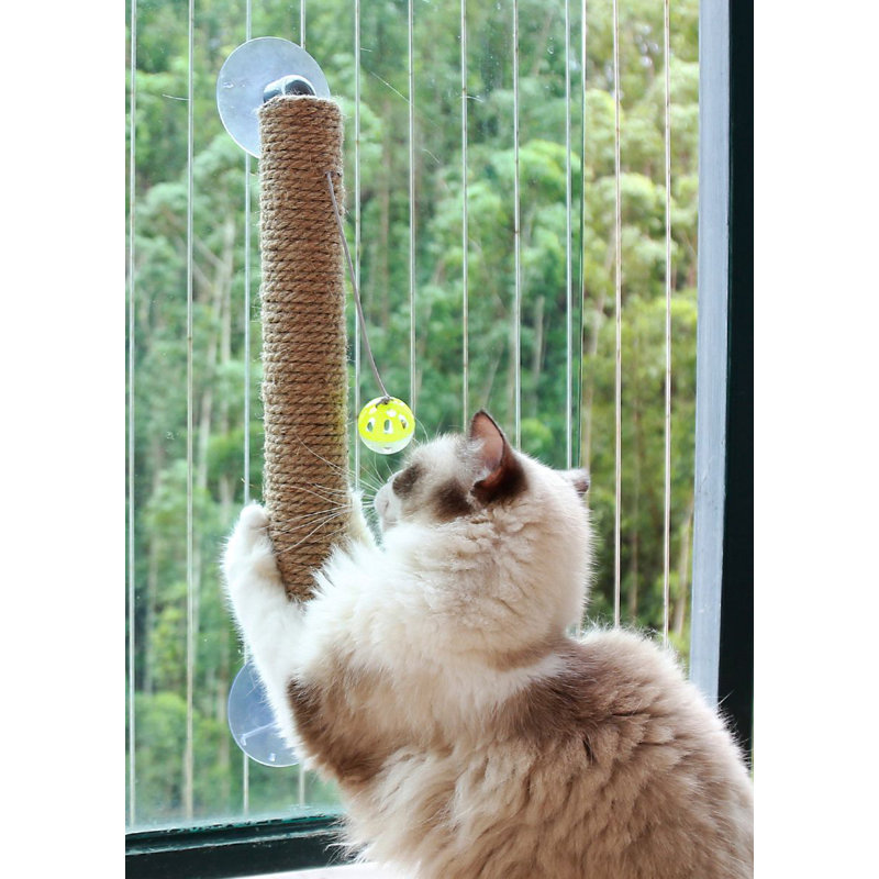 Grattoir pour chat en forme de bâton à ventouse