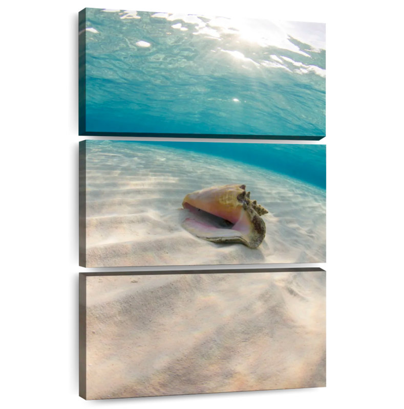 Aletra Underwater Seashell, 38" H x 24" W