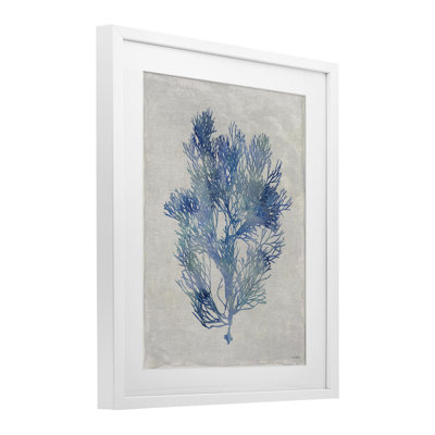 Blue Seaweed Bushel Framed Print Under Glass, design by Amber Sterling