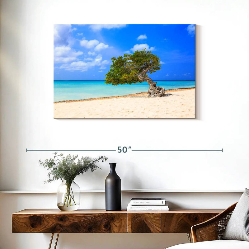 Lone Tree On Aruba Gillard