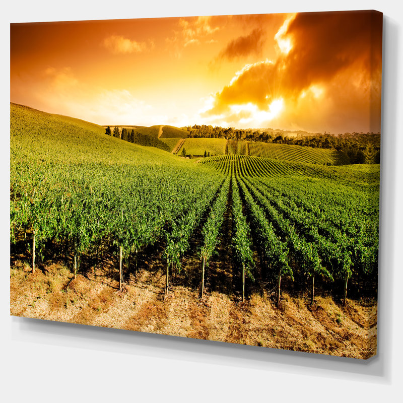 Sunset Vineyard Panorama - Photographie sur toile tendue, H 8 po x l 12 po x P 1 po