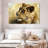 Lioness Study-107702384