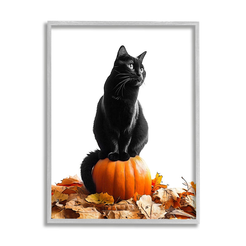 «Az-646», reproduction encadrée d'un chat noir et d'une citrouille par Annalisa Latella, Estampe numérique Farmhouse