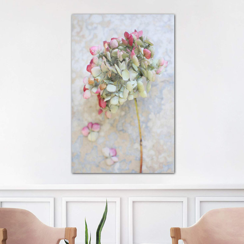 Pastel Dried Hydrangea I by Alyson Fennell - Wrapped Canvas Print, 101.6 cm H x 66.04 cm W x 3.175 cm D