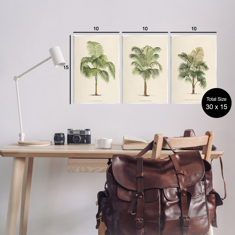 Les Palmiers Botanical Trio, ensemble de 3 reproductions d'art sur plaques murales, H 15 po x l 10 po