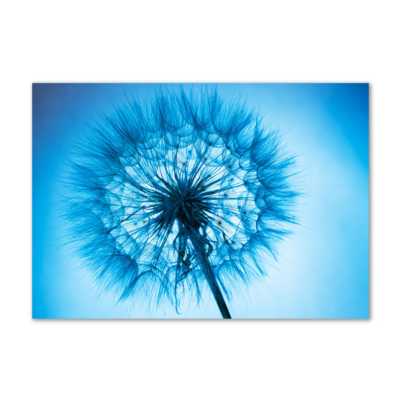 Dandelion - Wrapped Canvas Print